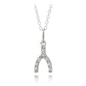 NEW Silver Pavé Wishbone Good-luck Necklace